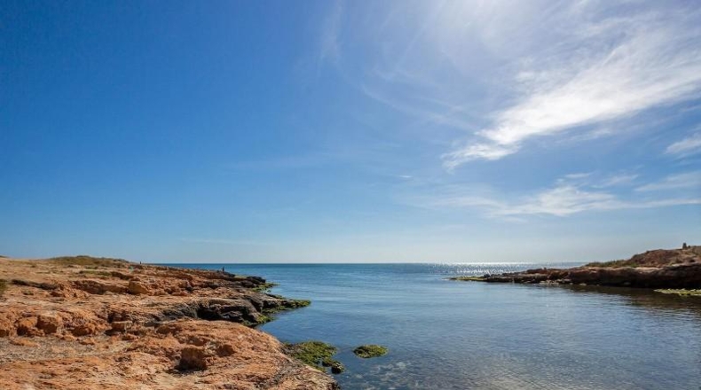 Alicante - Torrevieja - 400m2