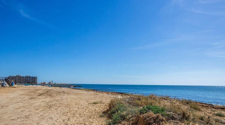 Alicante - Torrevieja - 400m2