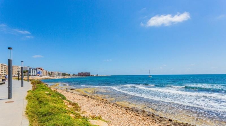 Alicante - Torrevieja - 400m2