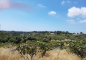 Xalet independent amb terreny en venda a la España, Estepona, ref.: TR239184 foto