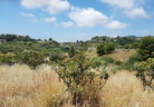 Xalet independent amb terreny en venda a la España, Estepona, ref.: TR239184 foto