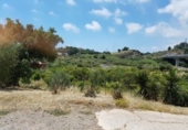 Xalet independent amb terreny en venda a la España, Estepona, ref.: TR239184 foto