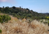 Xalet independent amb terreny en venda a la España, Estepona, ref.: TR239184 foto