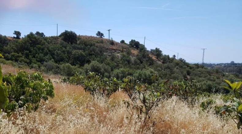 Málaga - Estepona - 19400m2