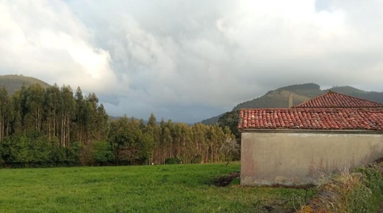 Asturias - Cudillero - 10000m2