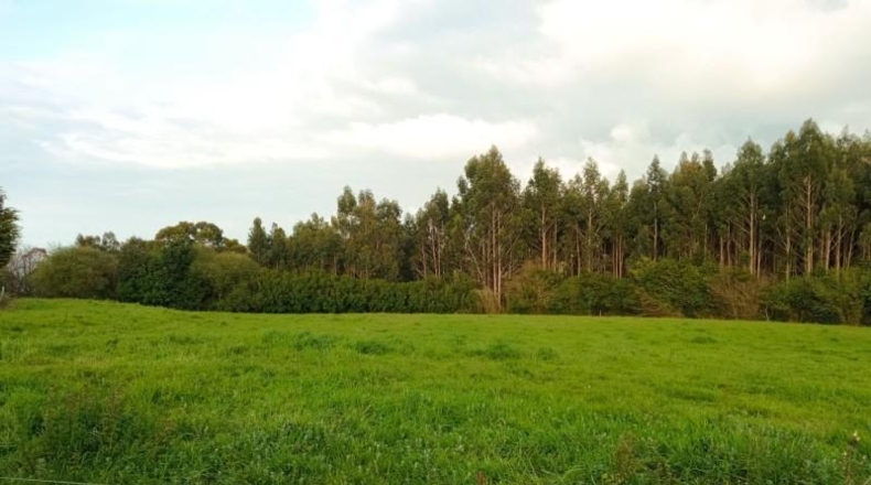 Asturias - Cudillero - 10000m2