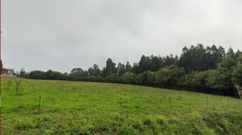 Asturias - Cudillero - 10000m2