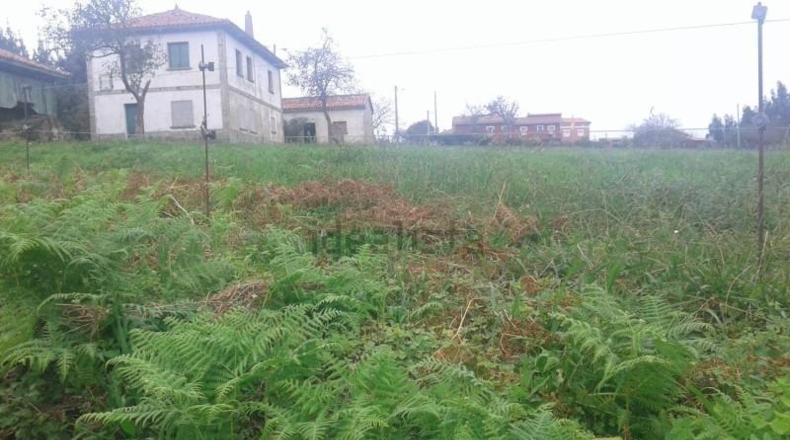 Asturias - Cudillero - 10000m2