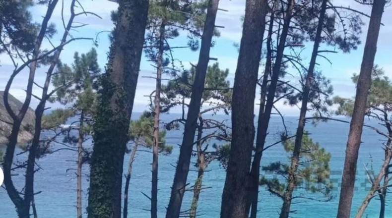 Asturias - Cudillero - 10000m2
