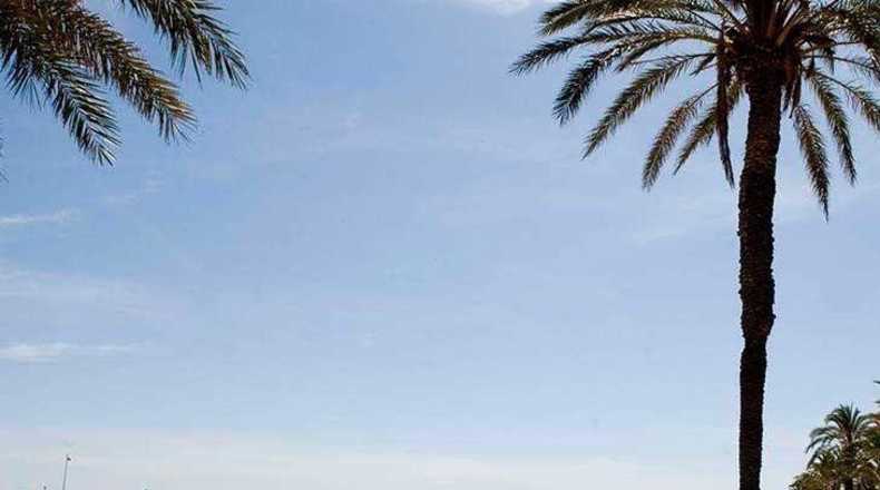 Murcia - Cartagena - 413m2
