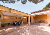 Detached villa with land for sale on España, Orihuela, ref: TR312159 photo