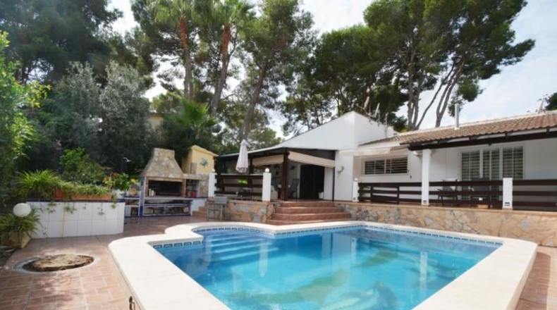 Alicante - Torrevieja - 800m2