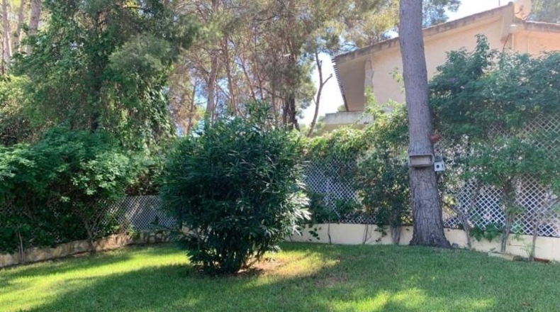Alicante - Torrevieja - 800m2