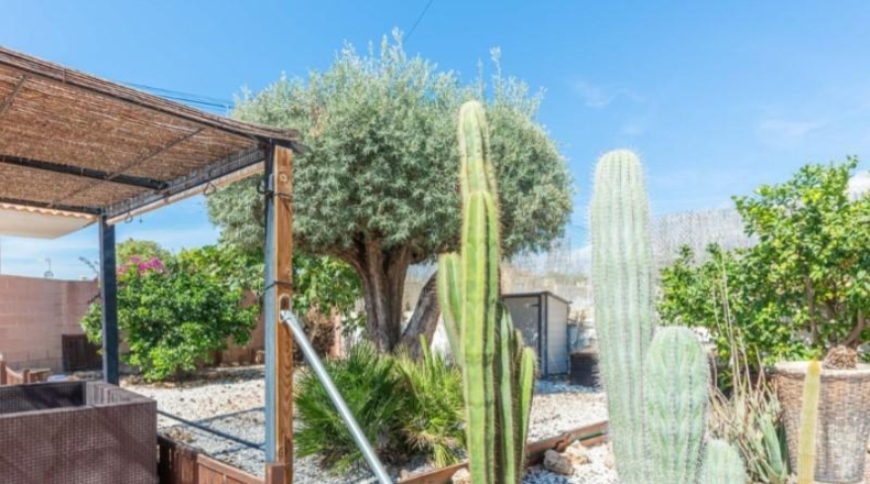 Alicante - Busot - 806m2
