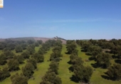 Xalet independent amb terreny en venda a la España, Cadis, ref.: TR241485 foto