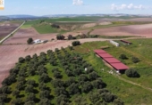 Xalet independent amb terreny en venda a la España, Cadis, ref.: TR241485 foto
