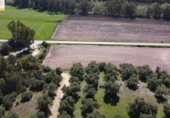 Xalet independent amb terreny en venda a la España, Cadis, ref.: TR241485 foto