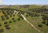 Xalet independent amb terreny en venda a la España, Cadis, ref.: TR241485 foto