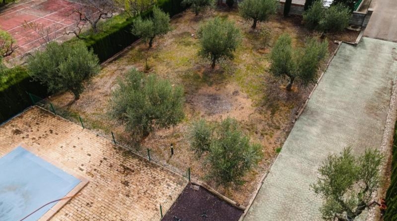 Valencia - Alcira - 7000m2