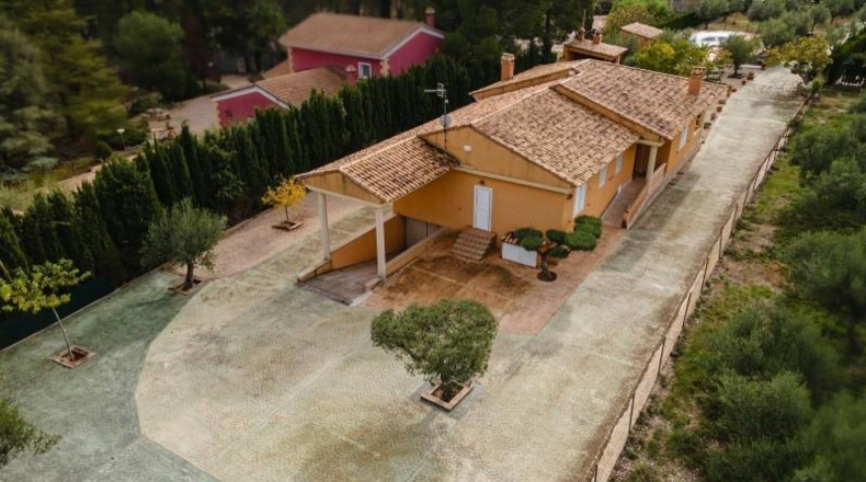 Valencia - Alcira - 7000m2