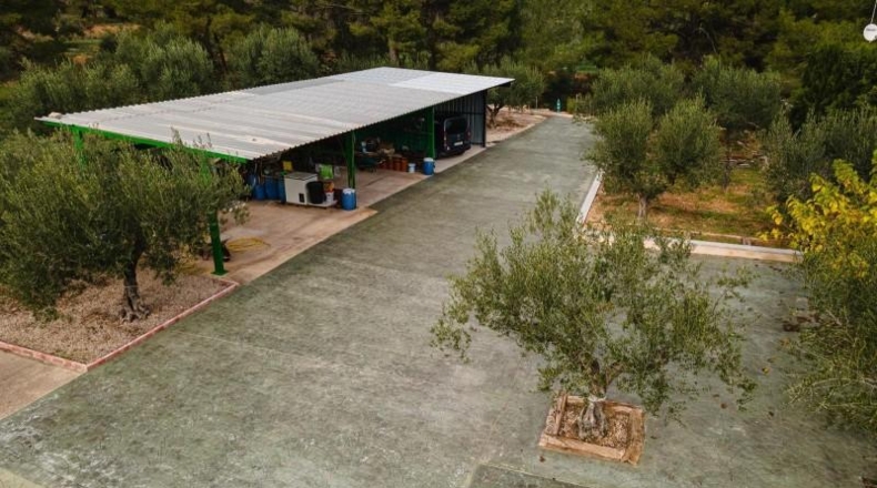 Valencia - Alcira - 7000m2