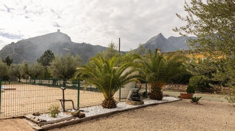 Valencia - Alcira - 7000m2