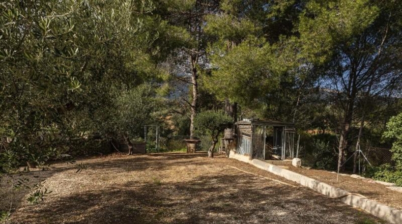 Valencia - Alcira - 7000m2