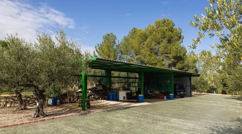 Valencia - Alcira - 7000m2