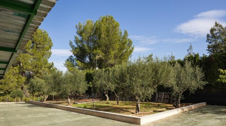 Valencia - Alcira - 7000m2