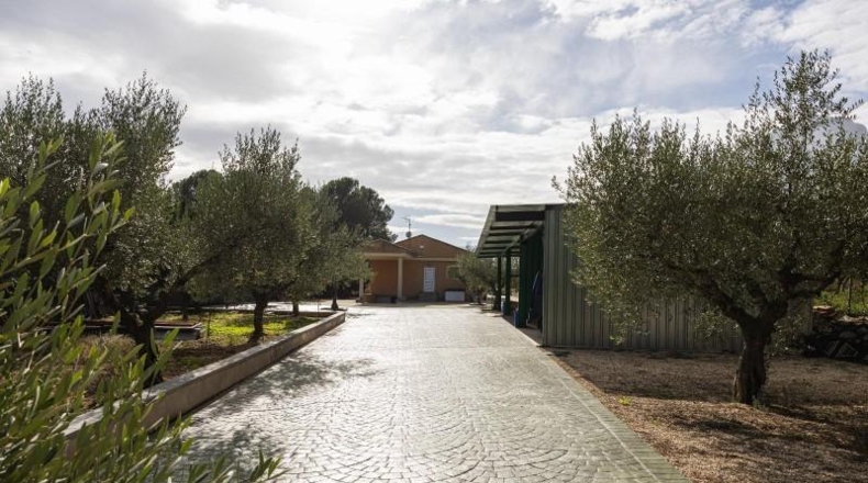 Valencia - Alcira - 7000m2