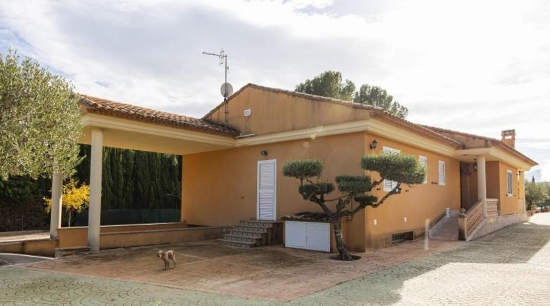 Valencia - Alcira - 7000m2