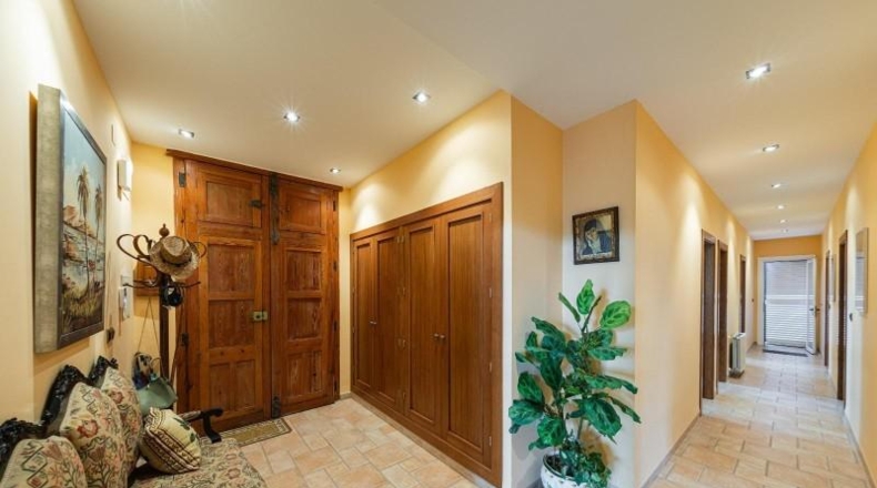 Valencia - Alcira - 7000m2