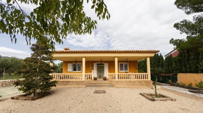 Valencia - Alcira - 7000m2