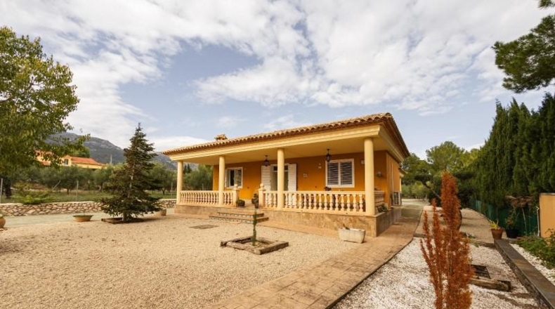 Valencia - Alcira - 7000m2