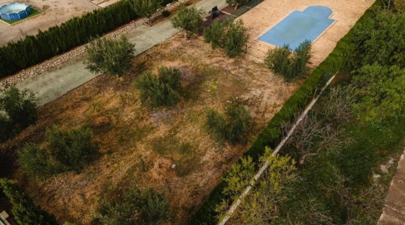 Valencia - Alcira - 7000m2