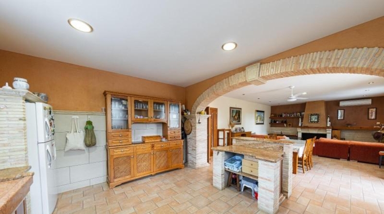 Valencia - Alcira - 7000m2