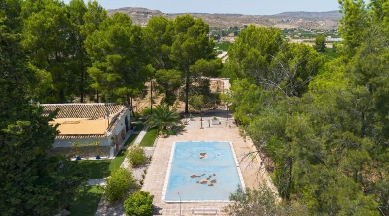 Murcia - Cehegín - 22000m2