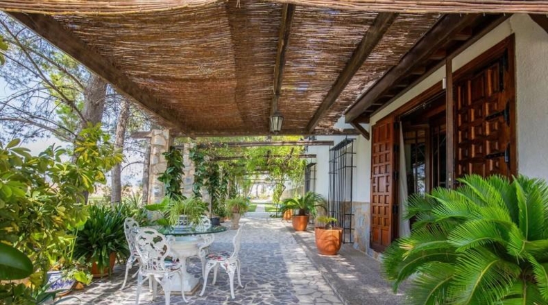Murcia - Cehegín - 22000m2