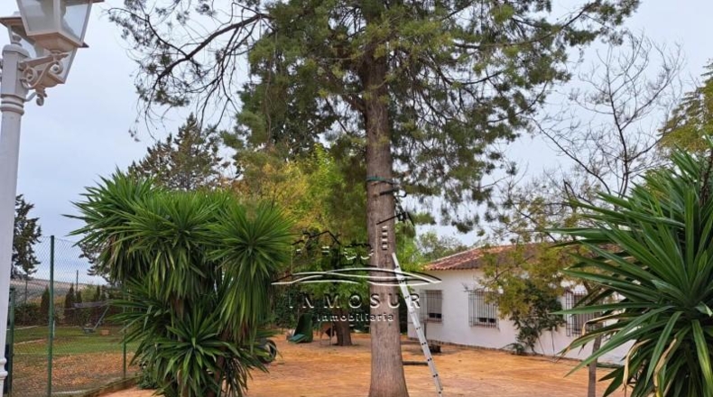 Córdoba - Lucena - 2700m2