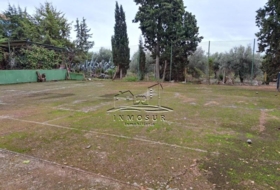 Lucena 2700&nbsp;m²