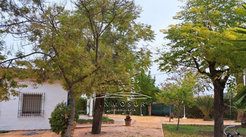 Córdoba - Lucena - 2700m2