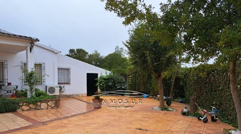 Córdoba - Lucena - 2700m2