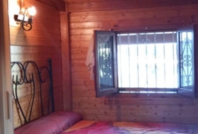 Foto 20