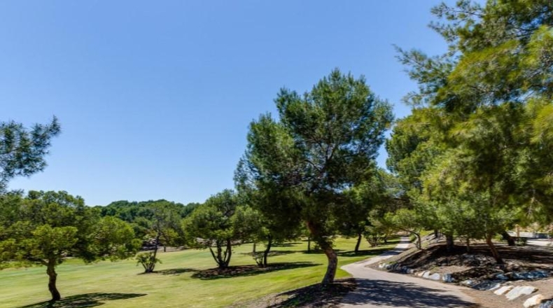 Alicante - Orihuela - 424m2