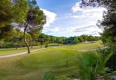 Chalet independiente con terreno en venta en la España, Orihuela, ref: TR350561 foto