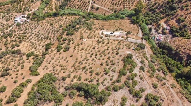Málaga - Guaro - 63499m2