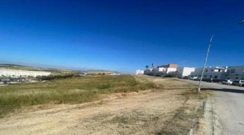 Cadiz - Arcos de la Frontera - 77715m2
