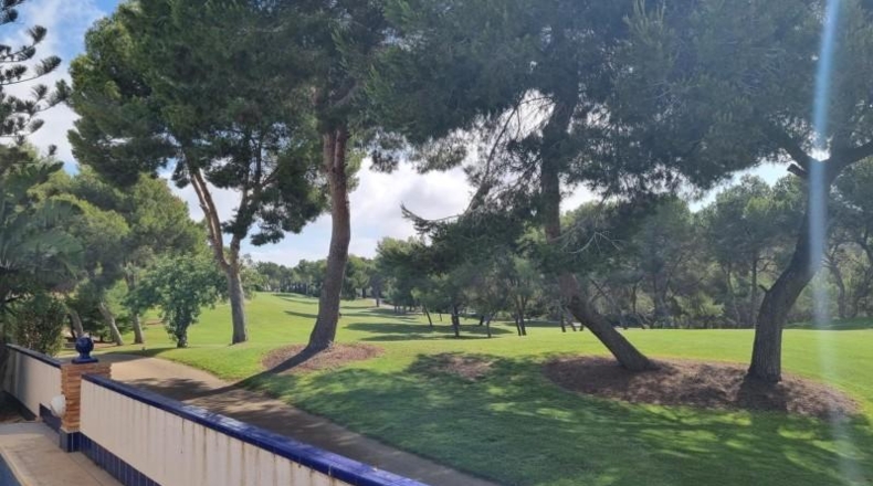 Alicante - Orihuela - 600m2
