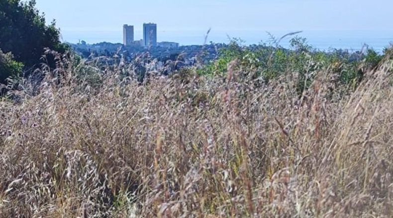Málaga - Marbella - 1000m2