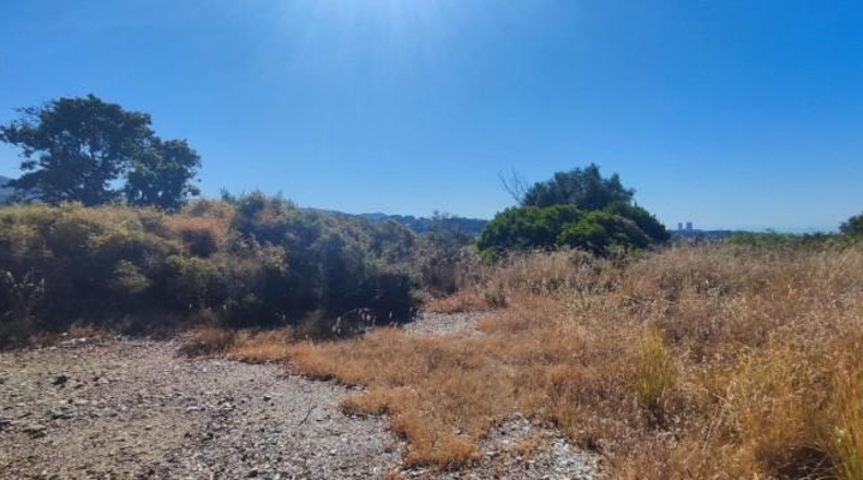 Málaga - Marbella - 1000m2